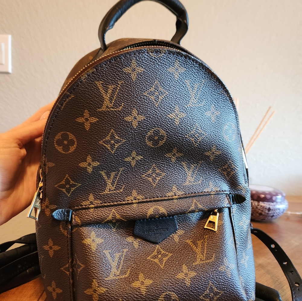 Louis vuitton Palm Springs Backpack PM